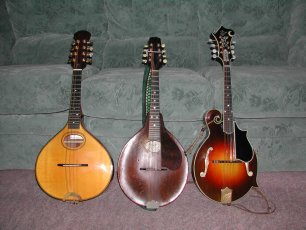 mandolins